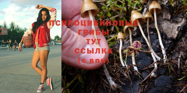 эйфоретик Аркадак
