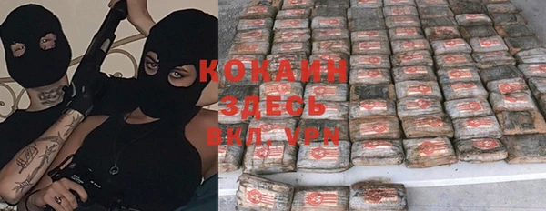 эйфоретик Аркадак