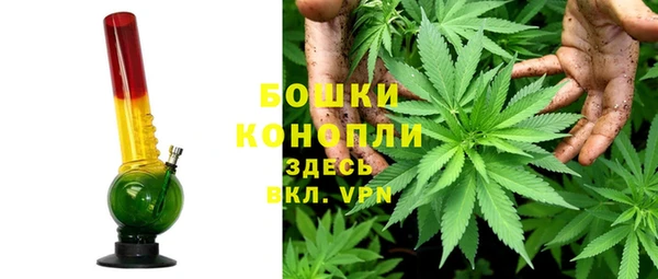 соль ск Арсеньев